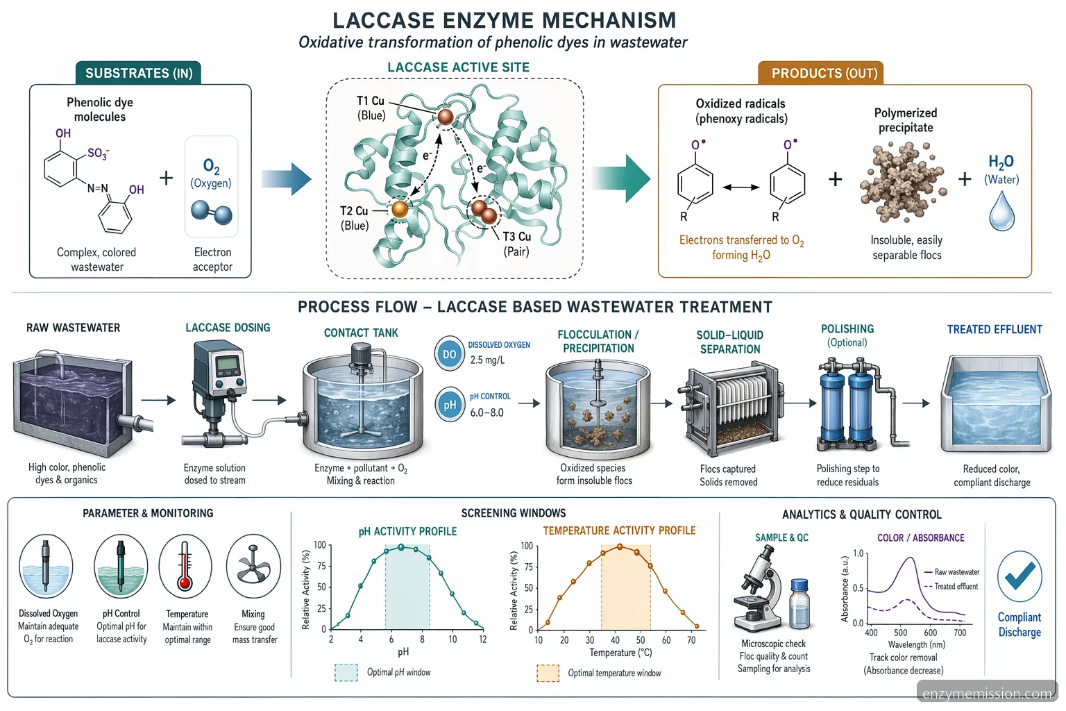 application of laccase enzyme wastewater treatment process diagram showing phenolic oxidation, oxygen use, and filtration