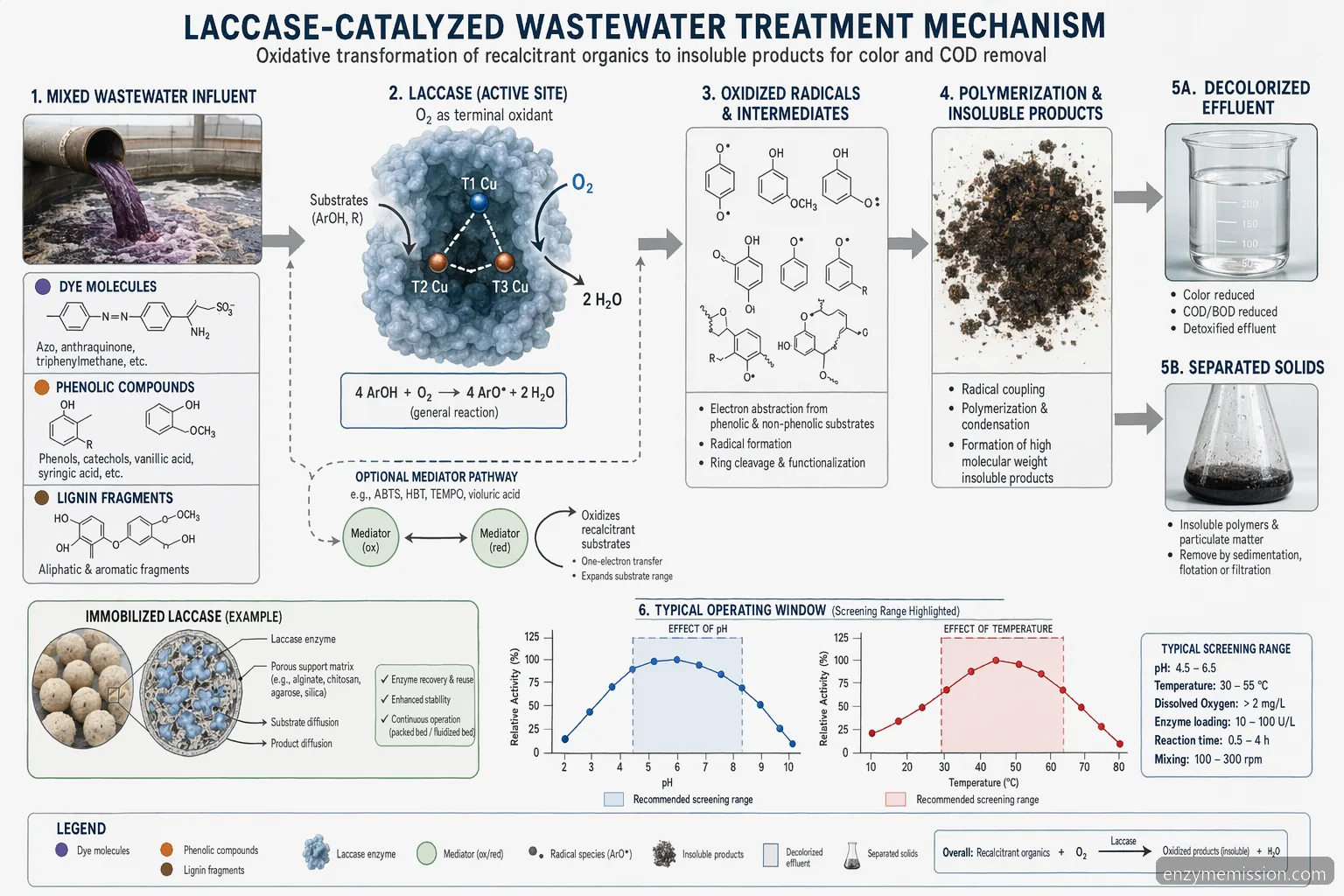 laccase enzyme applications wastewater mechanism diagram mapping oxidation, pH-temperature window, and product removal