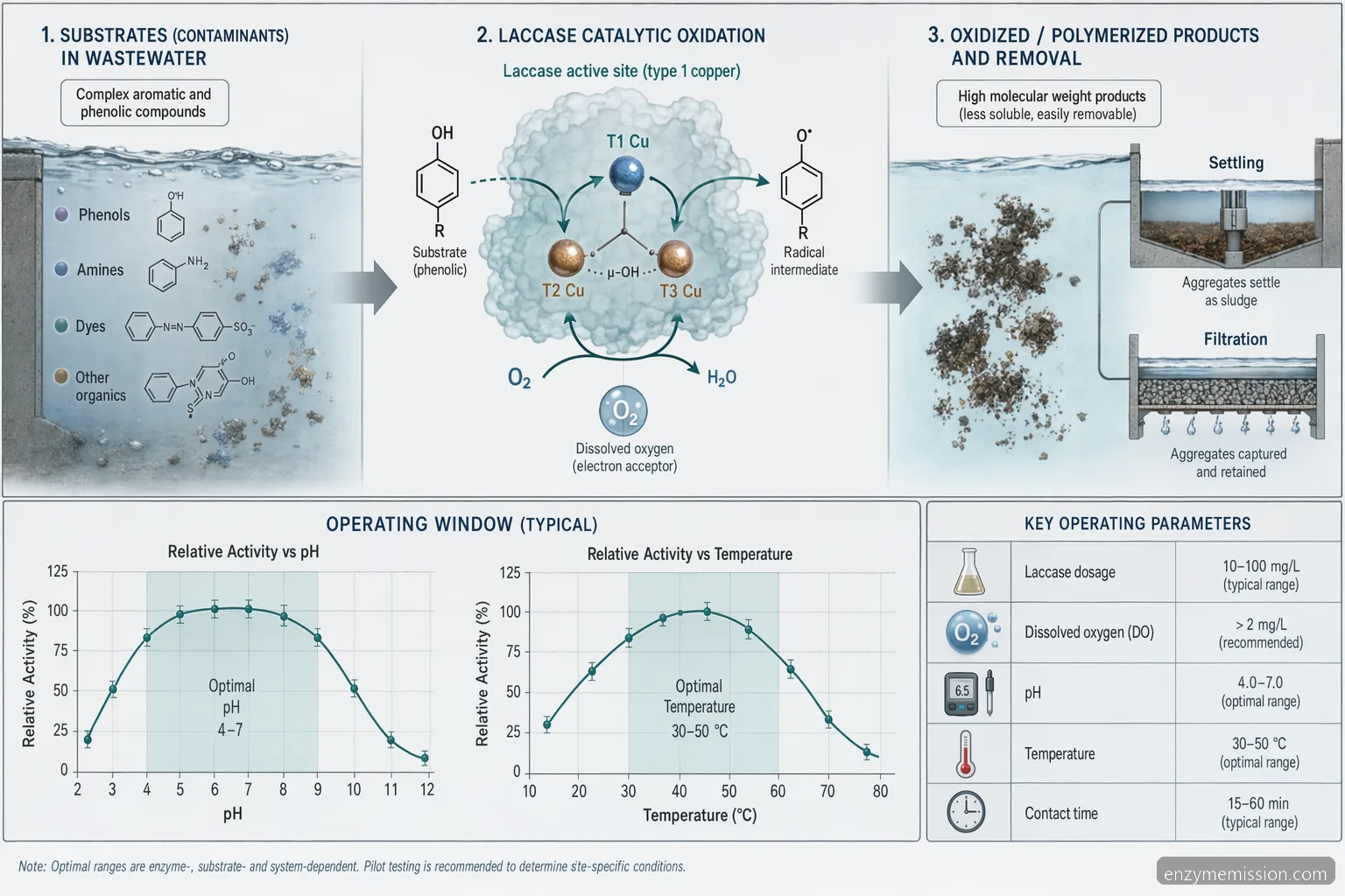 laccase enzyme applications ppt wastewater mechanism showing laccase oxidation across pH and temperature windows