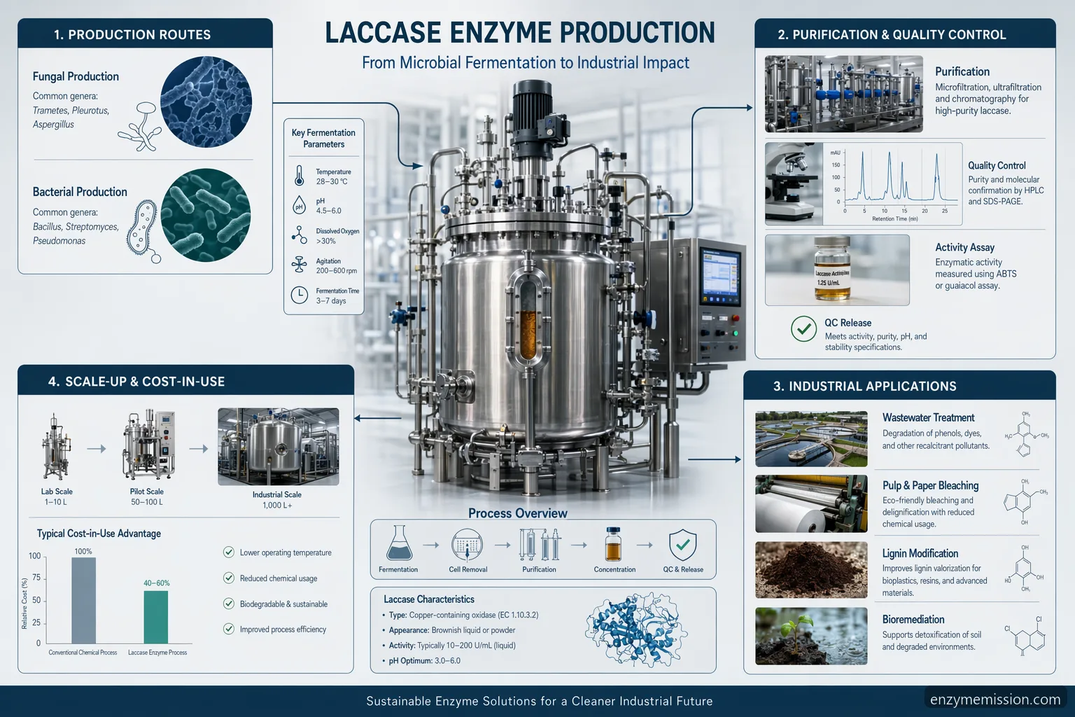 laccase enzyme production procurement guide, showing supplier QC, scale-up, wastewater and lignin uses